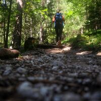 Wanderweg zur Tannenhütte