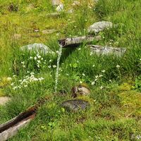 Wasser und Nationalpark gehören einfach zusammen
