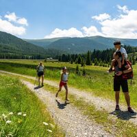 Wandern