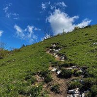 Grate des Grand Colombier