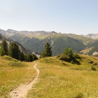 Weg Anello Cima Bosco