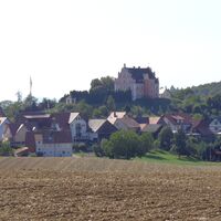 Blick auf Schloss Freudental vom Waldrand aus