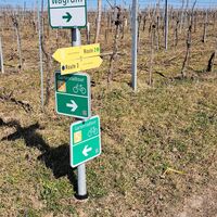 am Weg zur Aussichtswarte