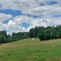 Blick ins Grüne