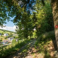 Unterwegs auf dem Rothaarsteig bei Latrop