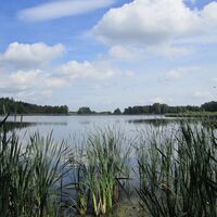 Burgteich bei Kürbitz