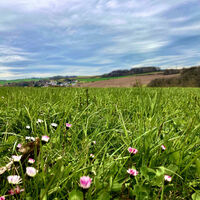 Wanderweg Quincunx Adel