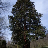 Hütteldorf - Lainzer Tiergarten - Liesing