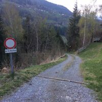 Arzl-Ried - Leins (2).JPG