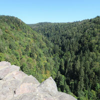 Blick von der Burgruine ins tiefe Murgtal