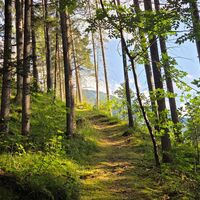 am Aufstiegssteig