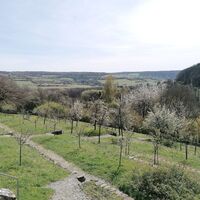 Blick auf die Streuobstwiesen von Haus Lochfeld