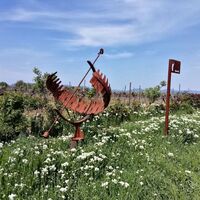 Kunst mitten im Weinberg