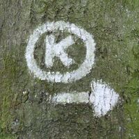 Wegmarkierung K-Weg im Wald