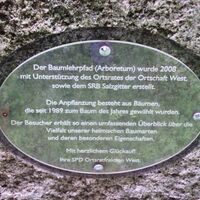 Infotext Baumlehrpfad Salzgitter-Gebhardshagen