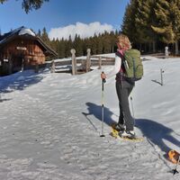 Kurz vor der Halterhütte auf dem Weg zum Teufelstein