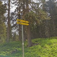 kurz der Forststraße folgen