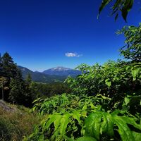 Ausblick auf den Ötscher