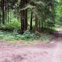 Salzgitter Höhenzug, Wanderweg 30 Spitzkehre (1)