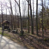 Waldspielplatz