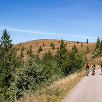 Biker auf dem Panoramaweg auf dem Feldberg