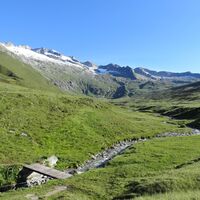 Nessjeri