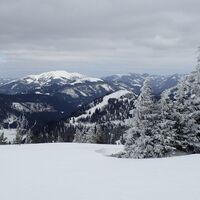 zum Sontagskogel