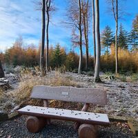 Qualitätstour Zum Ebersnacken (Ki 1)