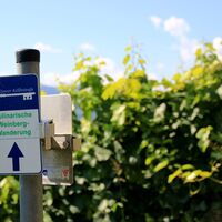 Markierung entlang des Weges