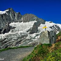 Farbenpracht am Gamsgruben-Weg