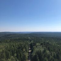 Blick vom Hohlohturm