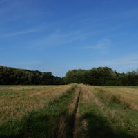 Lobau/Lobgrund - Groß Enzersdorf