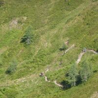 Wüstlau-Trail unterhalb der Salzburger Hütte