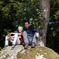 Rast auf einem Felsen