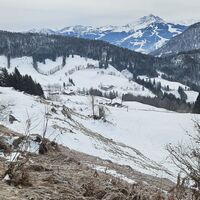 Blick hinunter zur gelben Faulernkapelle