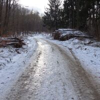 Aufstieg Richtung Windischhütte