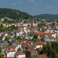 Blick auf Rodalben von der Alten Burg