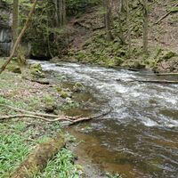 entlang der "Großen Krems"