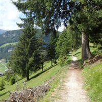 Singletrail zur Jakobskirche