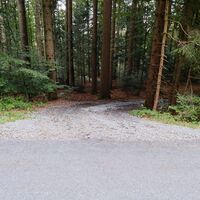 Kurz vor der Bergwachthütte führt rechts ein neu aufgekiester Waldweg steil hinab.