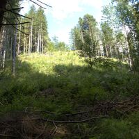 am Aufstiegssteig
