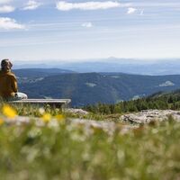 Ausblick