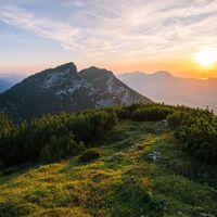 Streicher_voll-8976.jpg