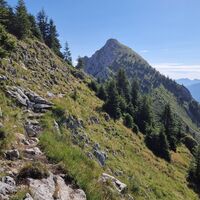Rückblick zur großen Klammspitze