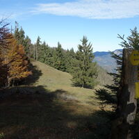 Übergang am Kamm Linsberg/Stadelberg