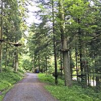 Hochseilgarten Enzklösterle