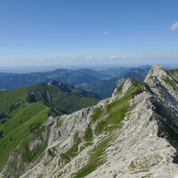 noch kurz dahin und dann gehts ins Tal