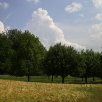 Landschaft zwischen Breitenbrunn und Faulbach