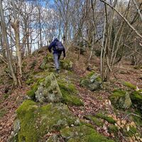 Pfad Bestweg Ostwig Steinberg