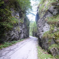 schneller als der Bus